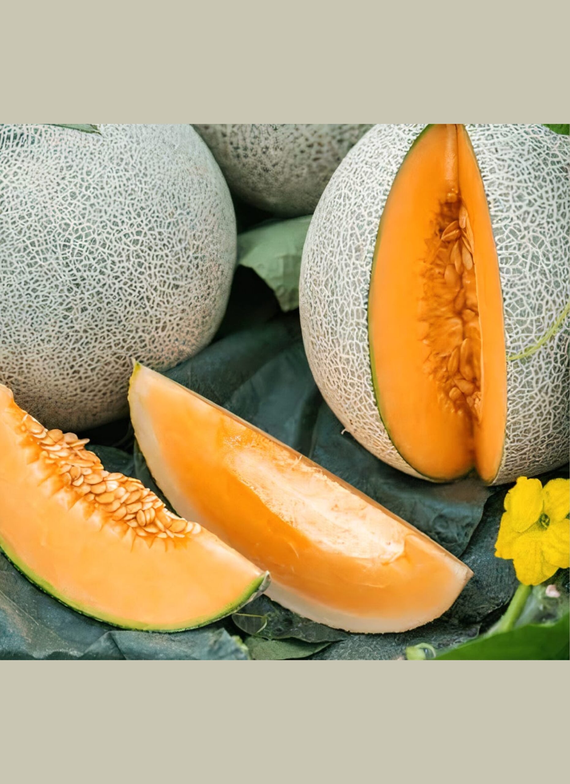 āϏāĻžāĻŽā§āĻŽāĻžāĻŽ āĻĢāϞā§āϰ āĻŦā§āĻ (ā§Šā§Ģ āĻĒāĻŋāϏ) - Image 2