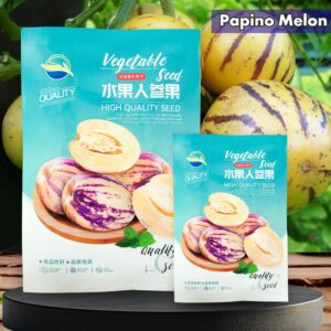 বারোমাসি পেপিনো মেলনের বীজ (100 পিস)