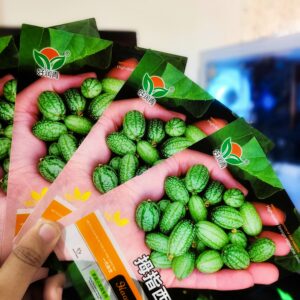 বারোমাসি জাপানি ছোট তরমুজ (৩০ পিস)