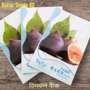 বারোমাসি তিনফল বীজ (২৫ পিস)