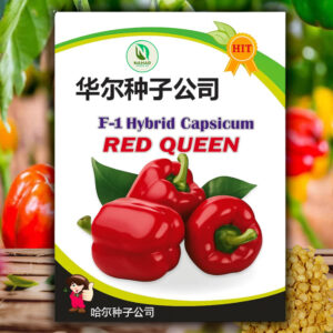 বারোমাসি ক্যাপসিকাম বীজ (৬০ পিস)