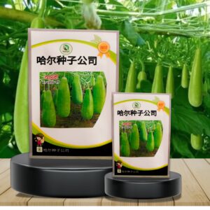 বারোমাসি হাজারী লাউয়ের বীজ (২০ পিস) - ফ্রি